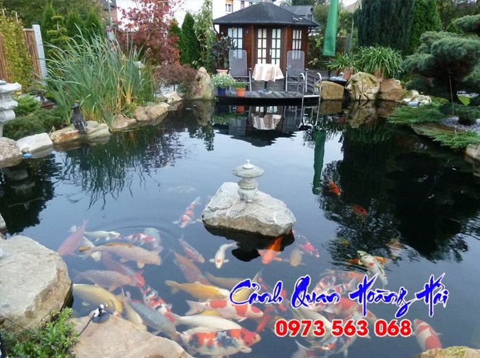 Hồ cá koi Nhật Bản thành phố Thuận An