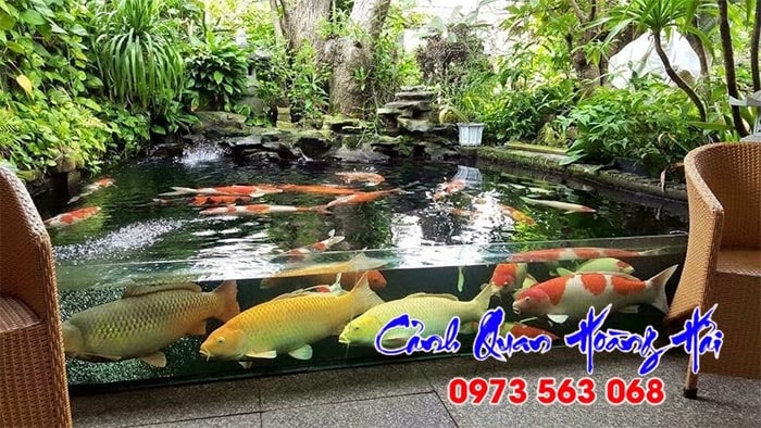 Hồ cá koi bằng kính đẹp tại Tiền Giang