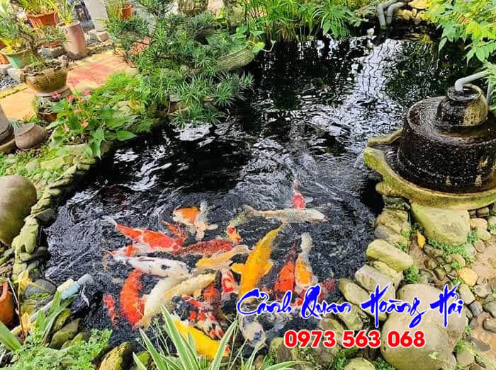 Hồ cá koi mini sân vườn tại Trà Vinh