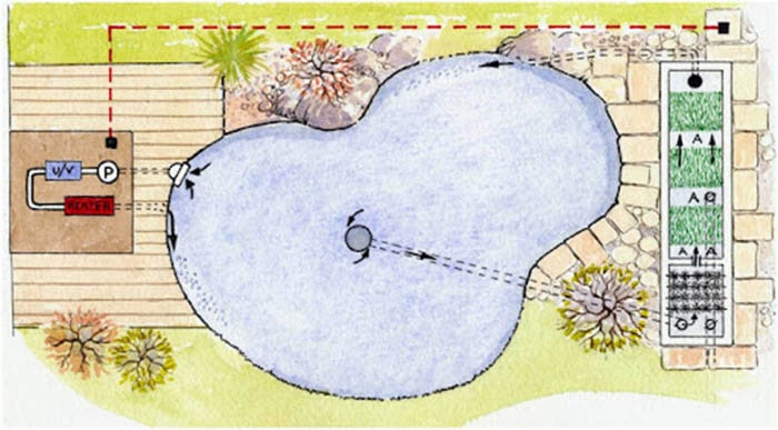 Bản vẽ 2D hồ cá Koi M2